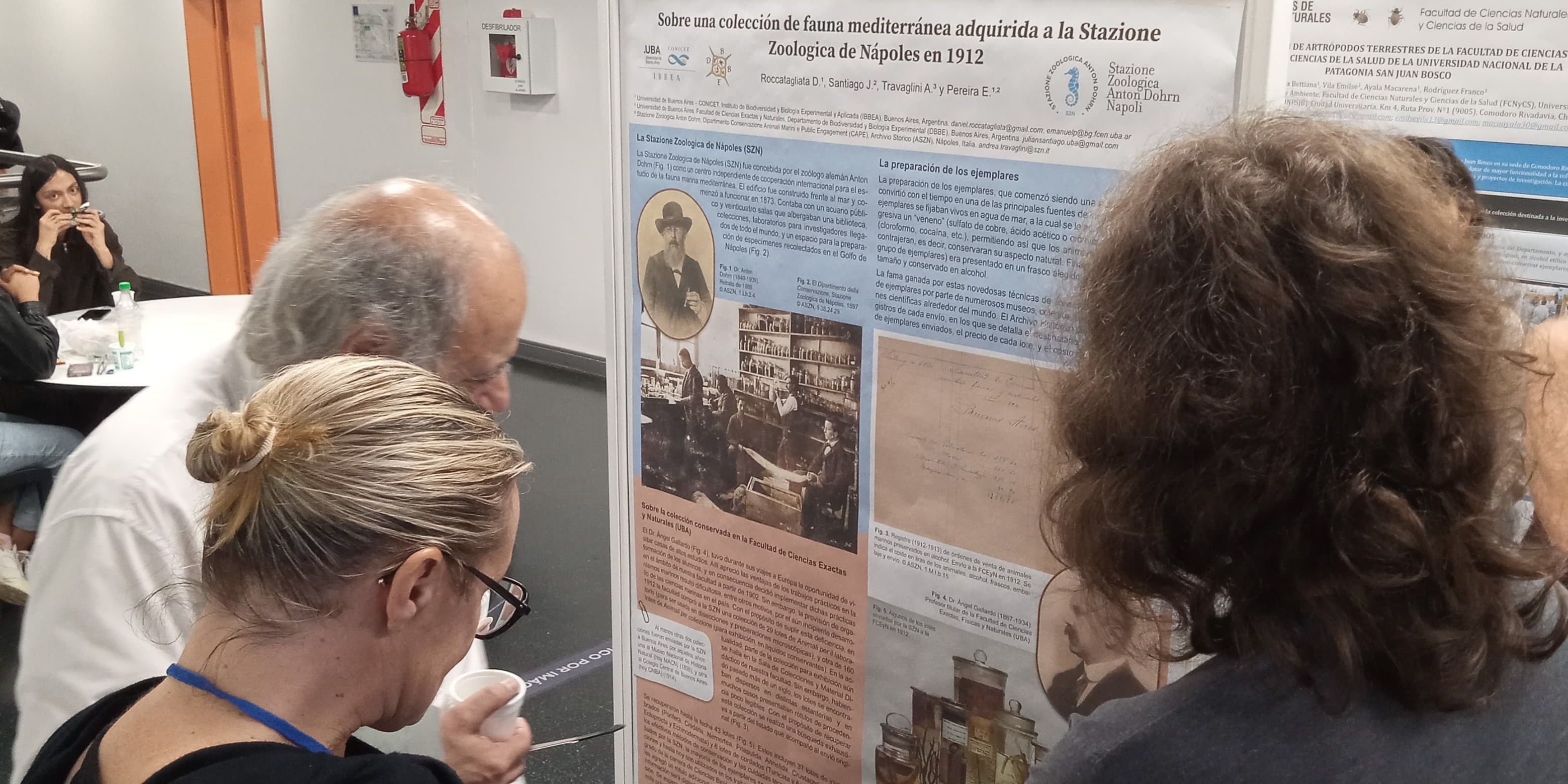 Colección de Nápoles