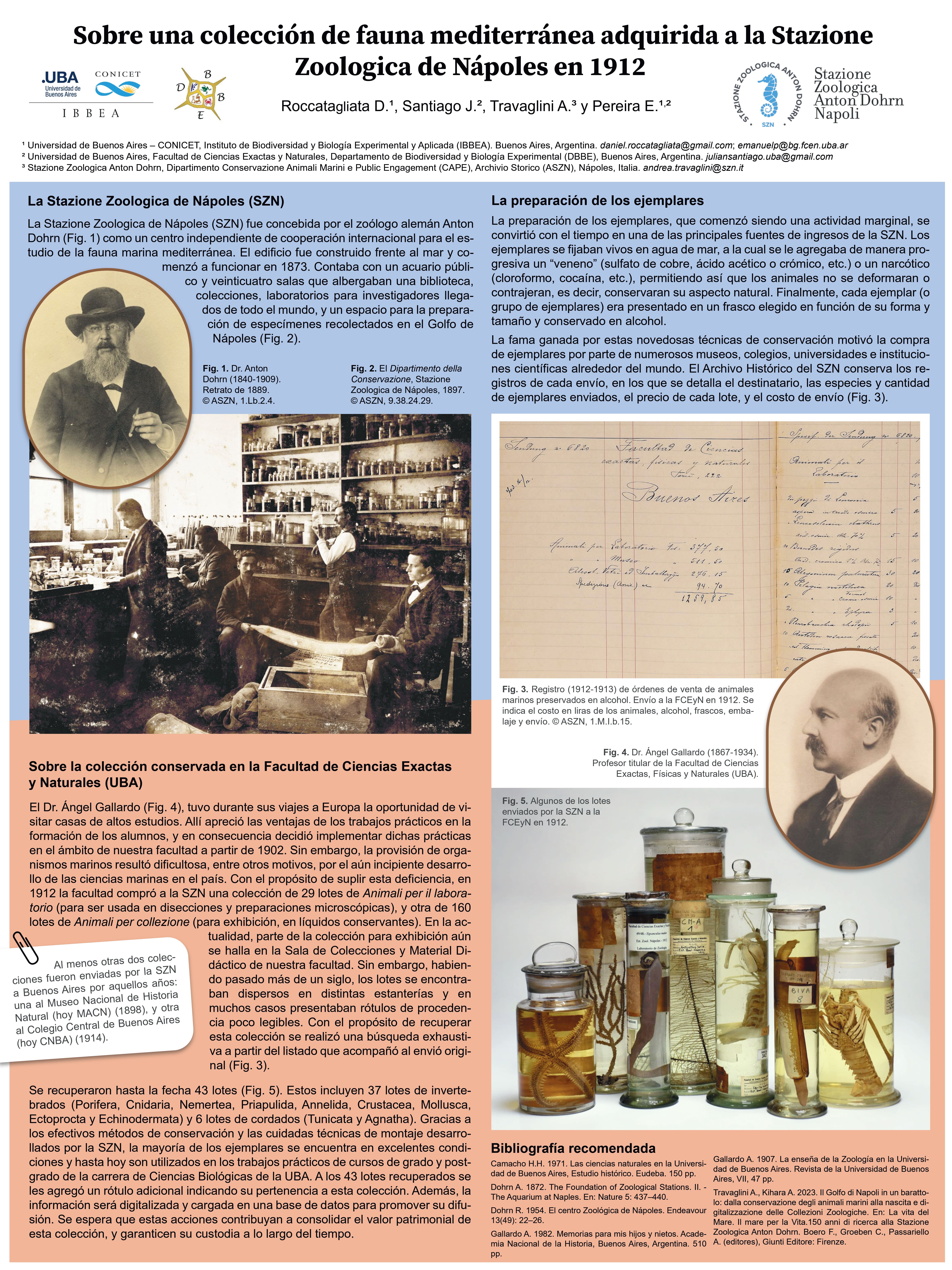 Poster sobre la colección de Nápoles